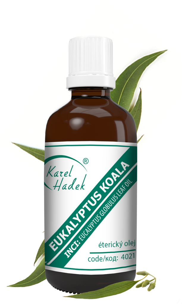 EUKALYPTUS KOALA esenciální olej 50 ml