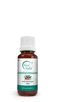 VÁNOČNÍ POHÁDKA směs esenciálních olejů 10 ml